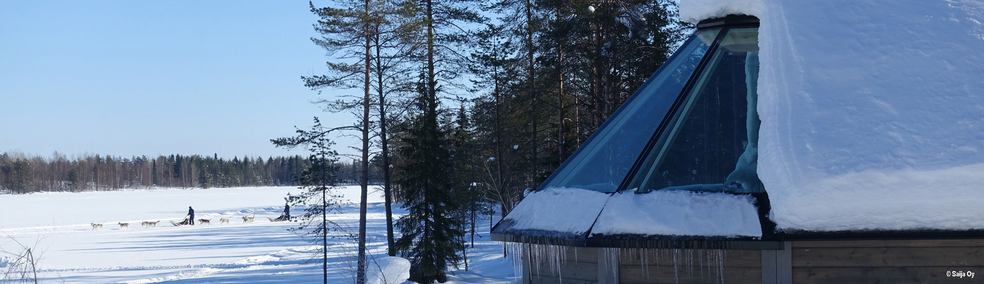 Husky Reisen in Skandinavien mit komfortablen Übernachtungen