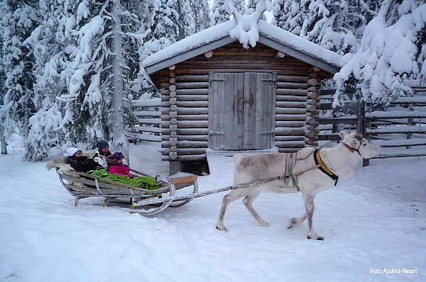 Festtags-Aktiv-Paket