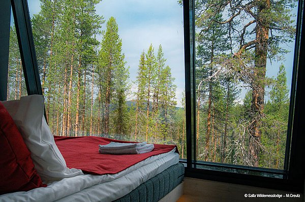 Salla Wildnis Studios - Ostlappland