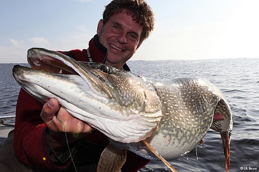 Angelträume im Land der Tausend Seen im September 2026