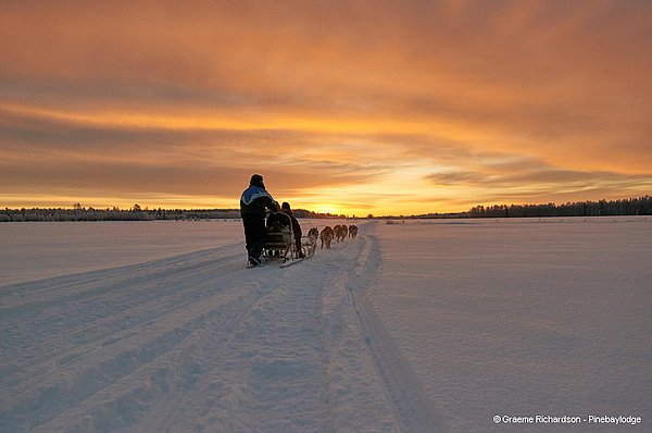 Eismeerlodges - Schlittenhunde Touren