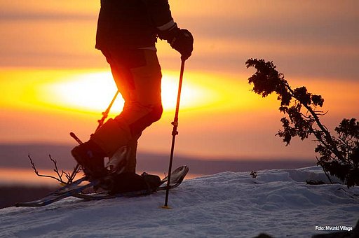 Was gibt es bei einem Lappland Urlaub zu erleben?