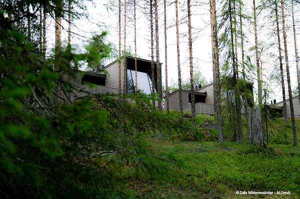 Salla Wildnis Studios - Ostlappland