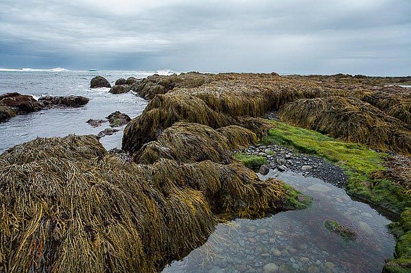 Spahotel Northernlight