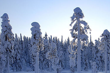Finnland Winterurlaub
