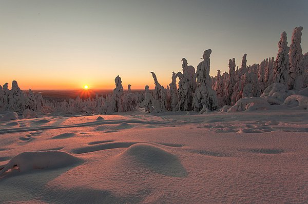 Iso Syöte Huskysafaris GUIDE