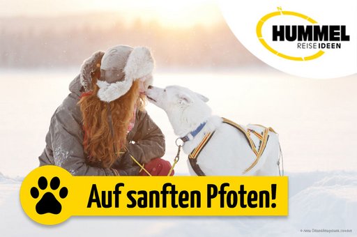 Skandinaviens verantwortungsvolles Reiseland Schweden