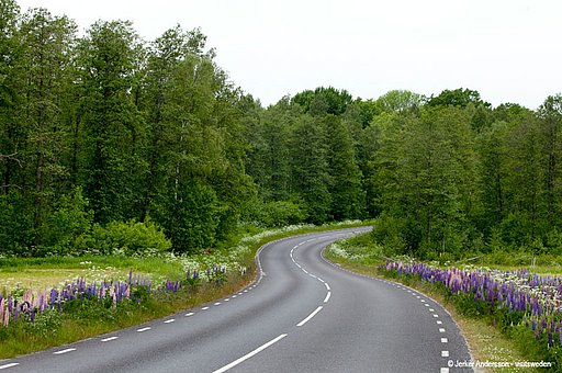 Unterwegs nach und in Schweden