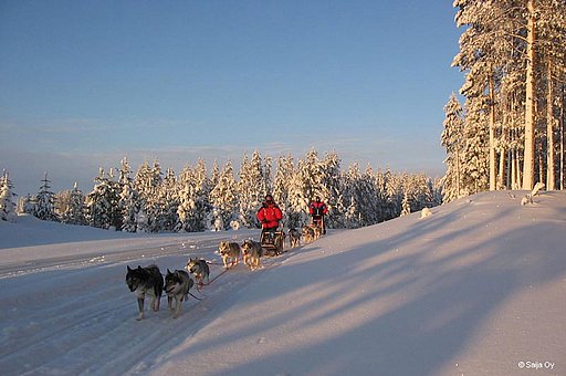 Wann ist die beste Reisezeit für eine Huskytour?