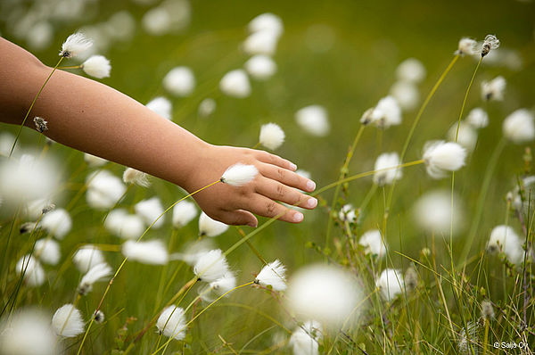 Finnlands Tourismus wird nachhaltig!