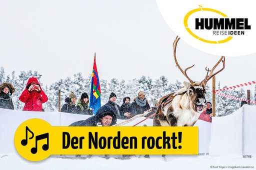 Wintermarkt in Jokkmokk – ein Besuch im Herzen Lapplands