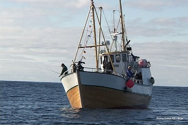 Puffin Safari GUIDE