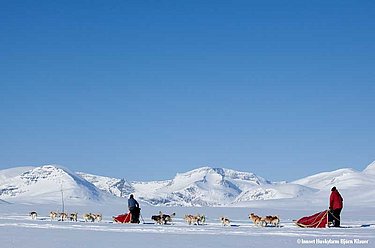 Huskytouren Skandinavien