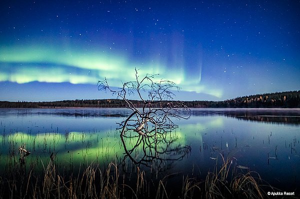 Rovaniemi - Geführte Ausflüge & Fakten