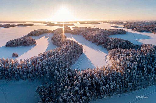 See & Schnee MOVE