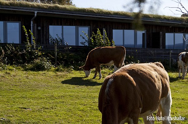 Strandhotel Hovshallar - Båstad Skåne