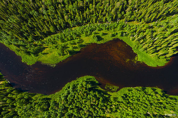 Finnlands Tourismus wird nachhaltig!