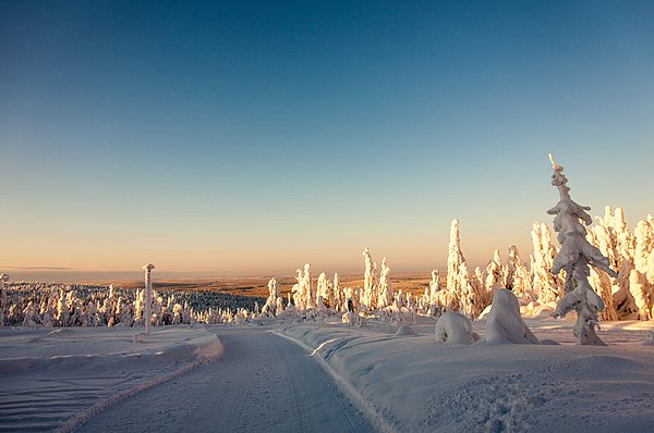 Iso Syöte Rentiersafaris GUIDE