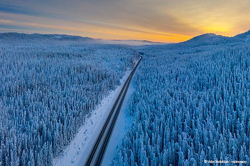 Mietwagenreisen in Lappland unter den Nordlichtern: