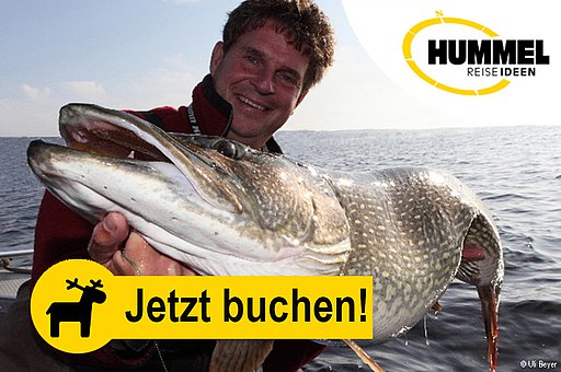 Angelreise mit Guide - Finnisches Seengebiet 08. – 14.09.2026