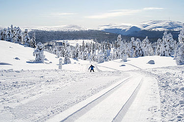 Langlauf Lappland Finnland