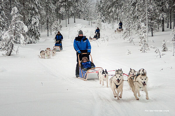 Salla Hundeschlitten Safaris GUIDE