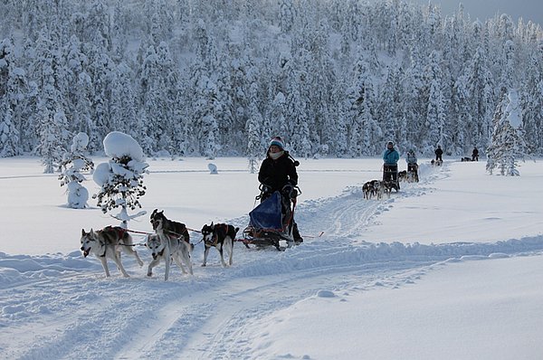Ylläs Hundeschlitten-Touren GUIDE Finnland