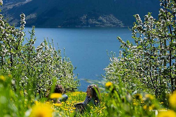 Valldal + Sommer = Urlaubszeit