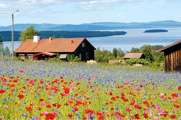Siljan Seehotels Tällberg