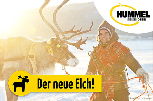 Die Hüter Lapplands