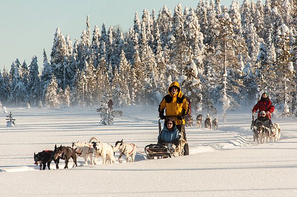 Iso Syöte Huskysafaris GUIDE