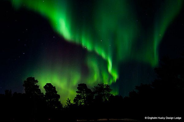 Engholm Husky Lodge Aktivitäten TIPP