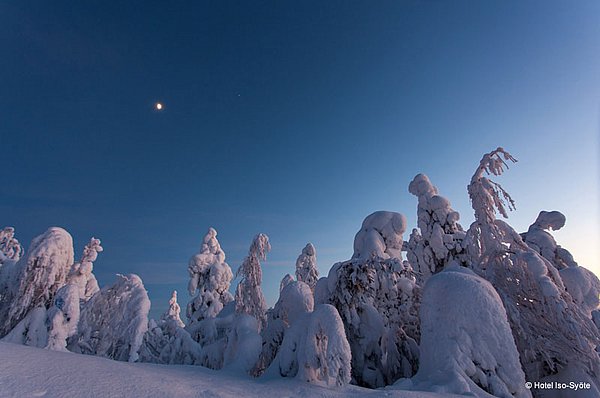 Nachhaltigkeit im Arctic Spahotel Iso Syöte