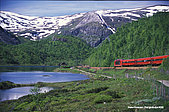 Fjordwelt Bergenbahn GUIDE