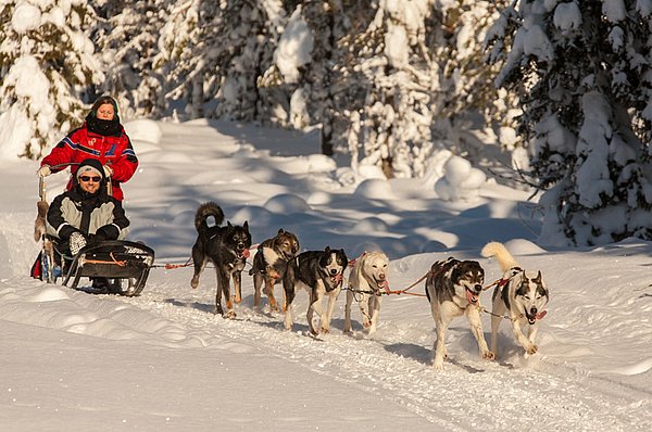 Iso Syöte Huskysafaris GUIDE