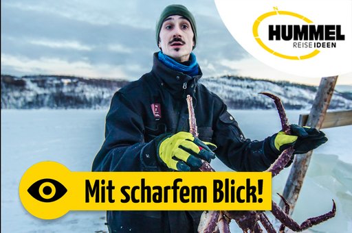 Kirkenes & die Königskrabben in Nordnorwegen