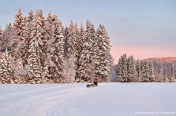 Eismeerlodges - Schlittenhunde Touren