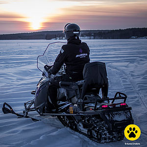 E-Motorschlittenfahren Lappland