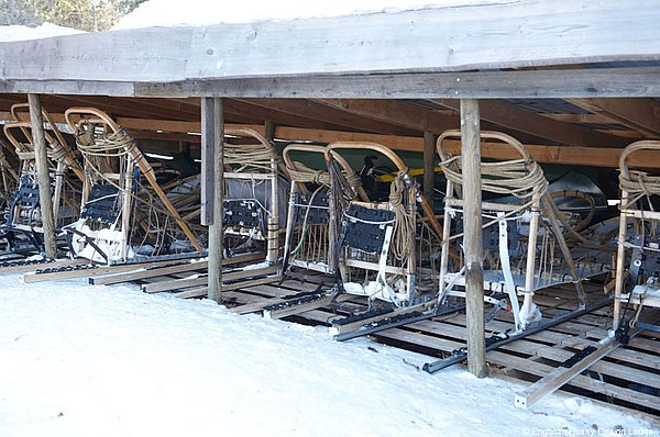 Engholm Husky Lodge Aktivitäten TIPP