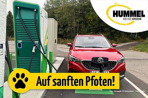 Elektromobilität in Norwegen