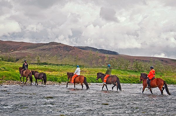Reittouren Hveragerði GUIDE