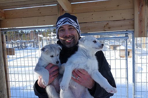 Ihr Husky-Abenteuer in Lappland beginnt mit der richtigen Wahl