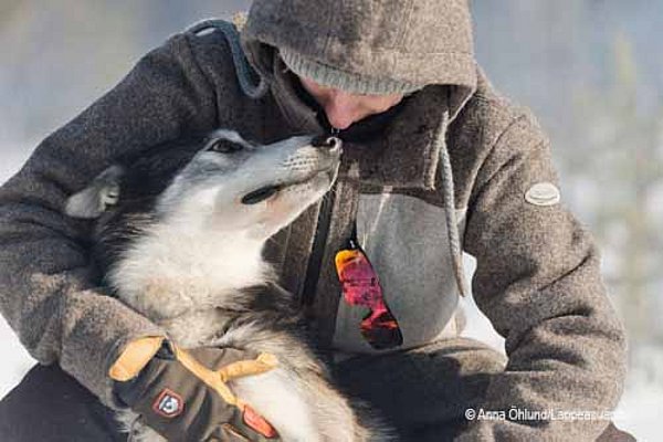 Bei Natalie sind Sie & die Huskies in guten Händen