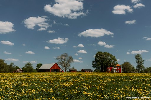 "Hej" Schweden START