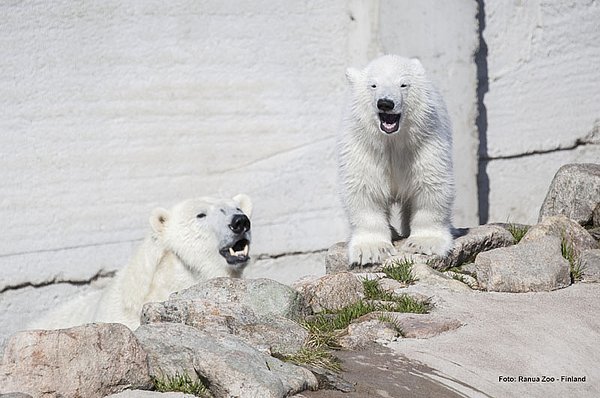 Ranua Wildlife Park TIPP