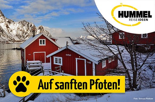 Skandinaviens verantwortungsvolles Reiseland Norwegen