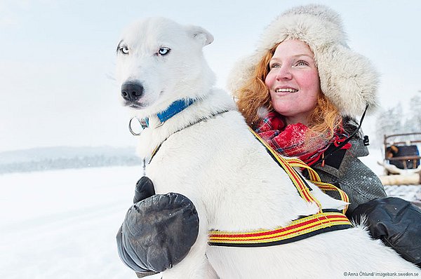 Wintermarkt in Jokkmokk – ein Besuch im Herzen Lapplands