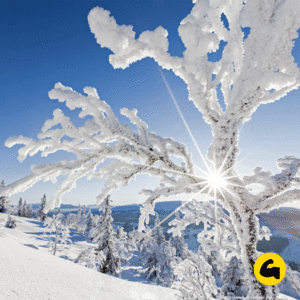 Schweden Winterurlaub