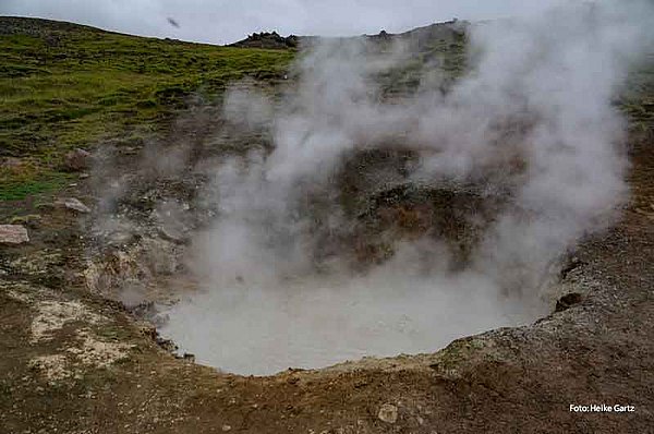 Reittouren Hveragerði GUIDE