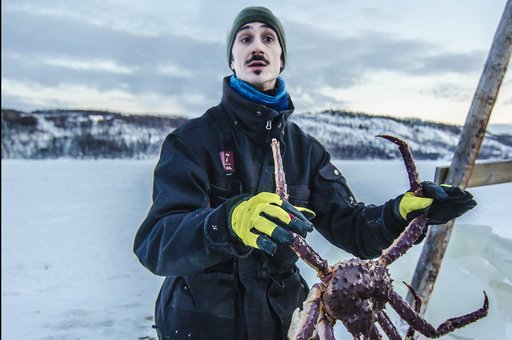Kirkenes & die Königskrabben in Nordnorwegen